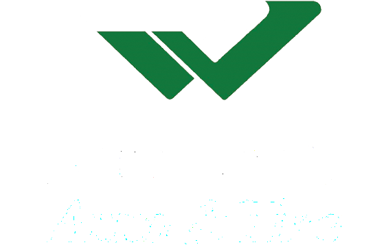 Wonder Auto